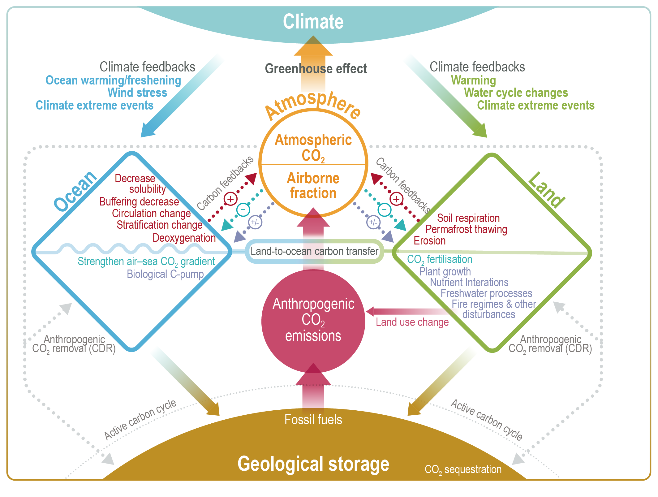 Carbon Cycle Diagram Ib