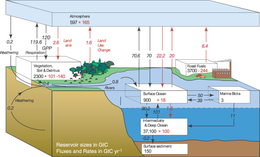 fig-7-03-1024x619.jpg