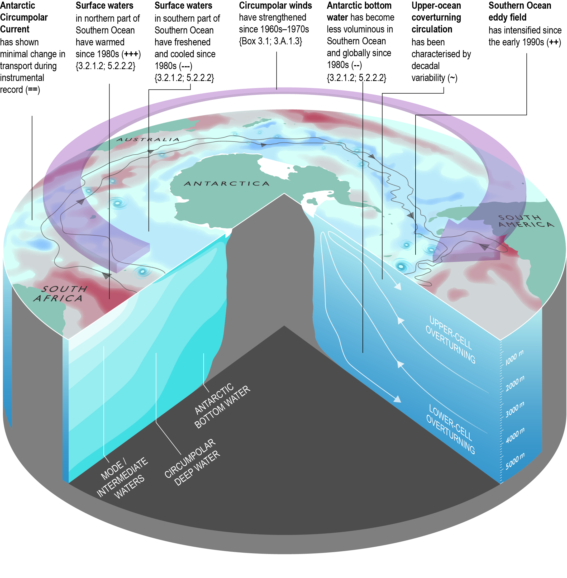 Long-term stability in the circumpolar foraging range of a Southern Ocean  predator between the eras of whaling and rapid climate change