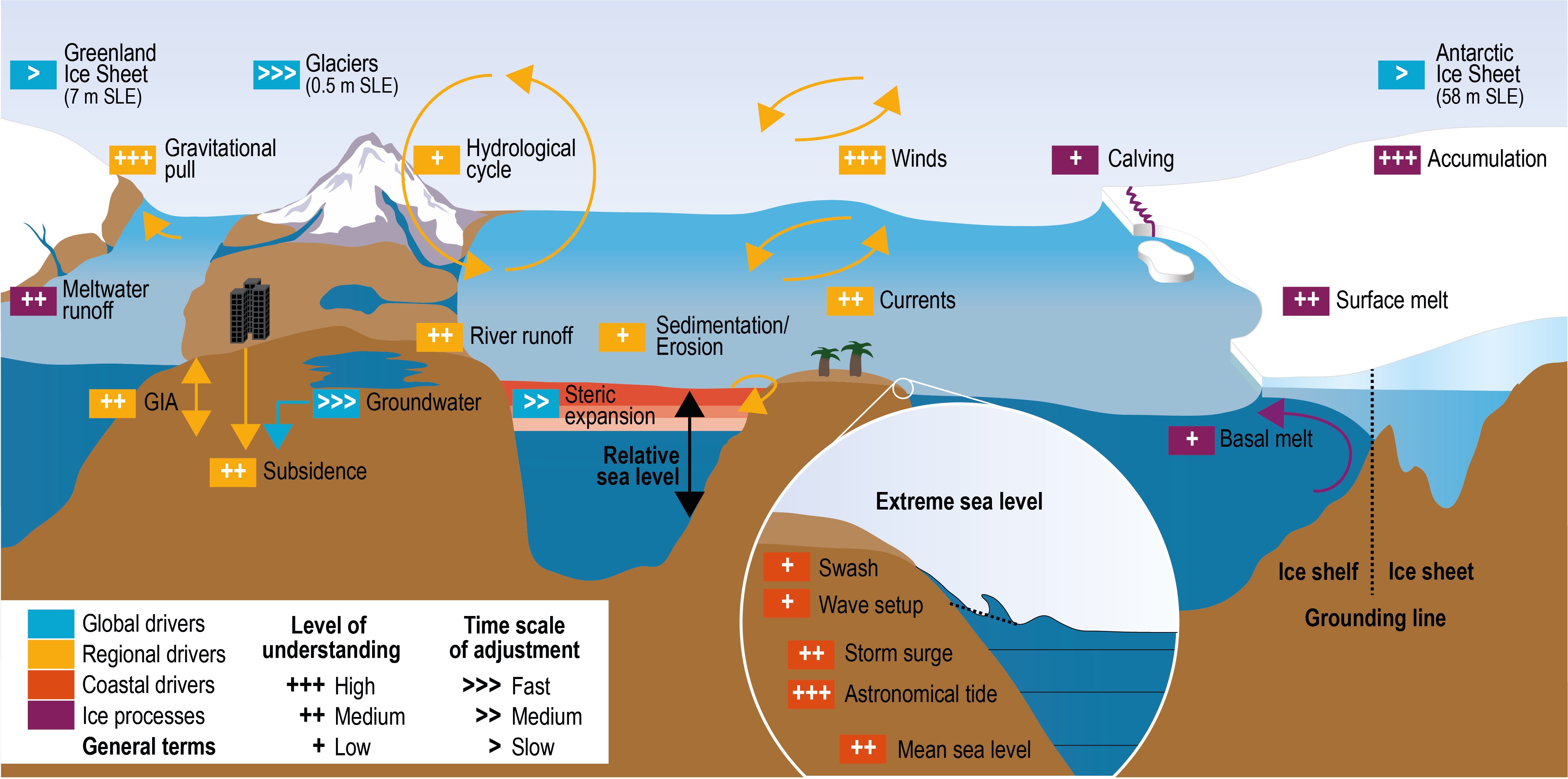 Contrasting surface warming of a marginal basin due to large-scale climatic  patterns and local forcing