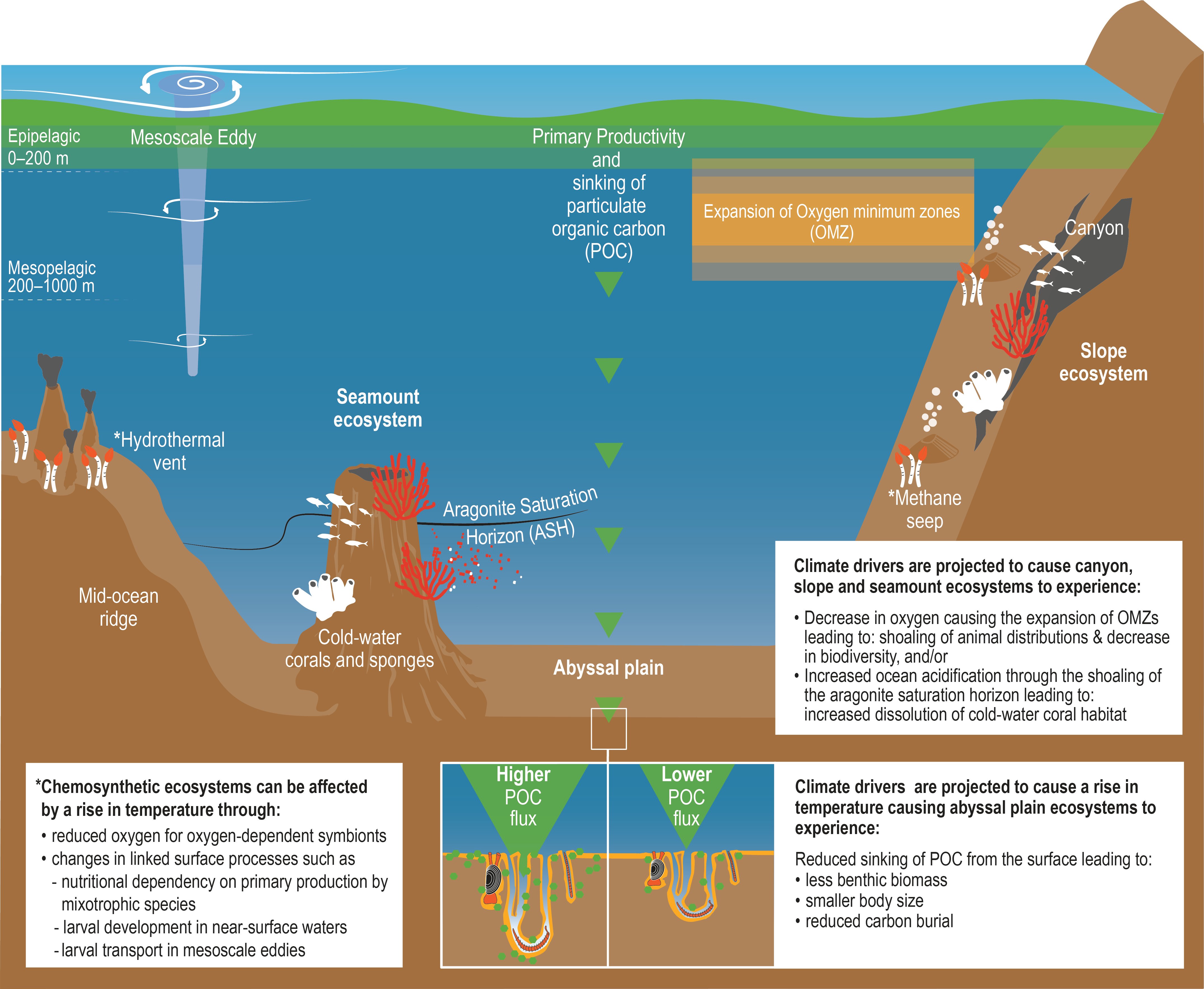 Chapter 5: Changing Ocean, Marine Ecosystems, and ... diagram for ocean 