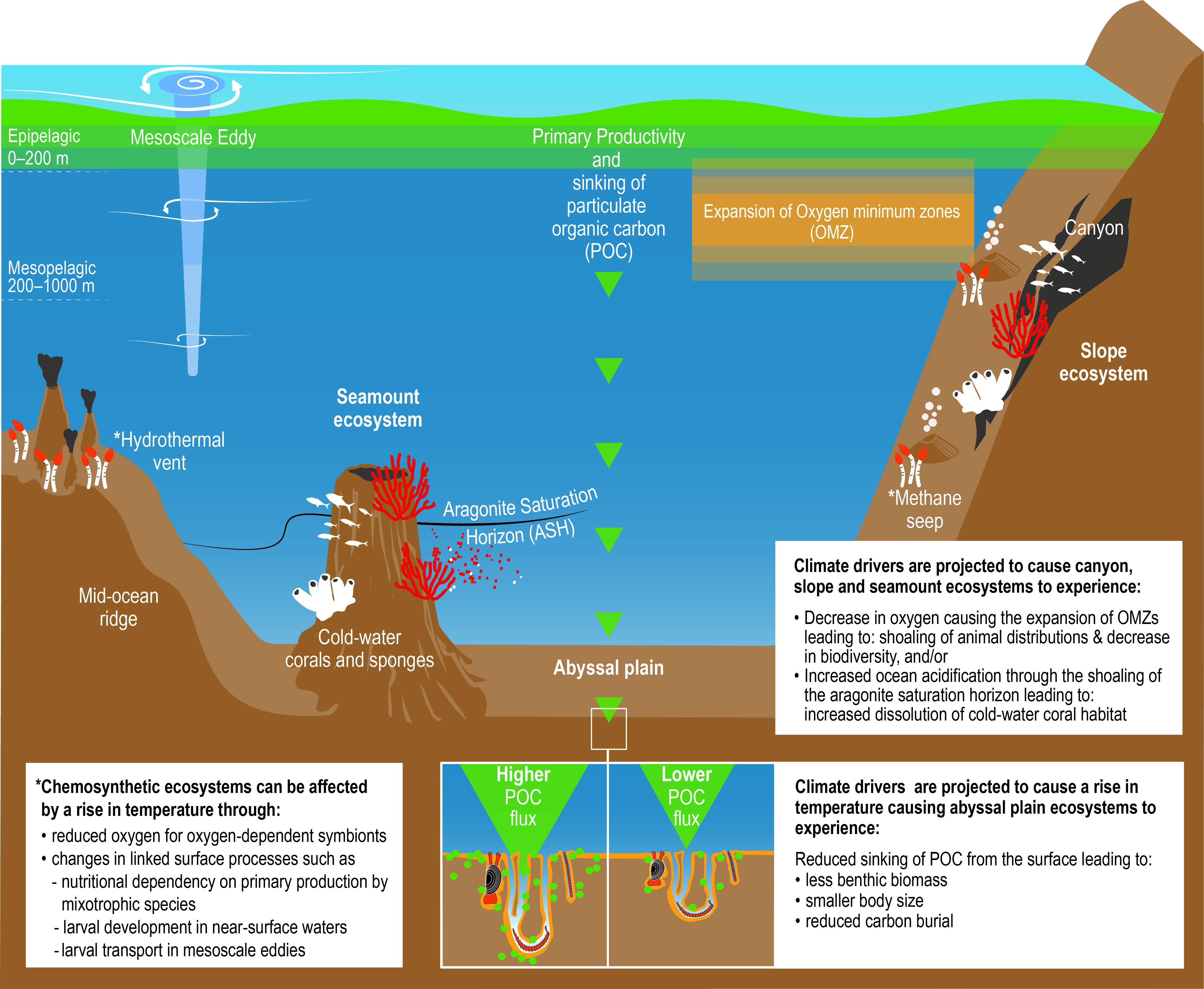 Chapter 5: Changing Ocean, Marine Ecosystems, and ... diagram for ocean 