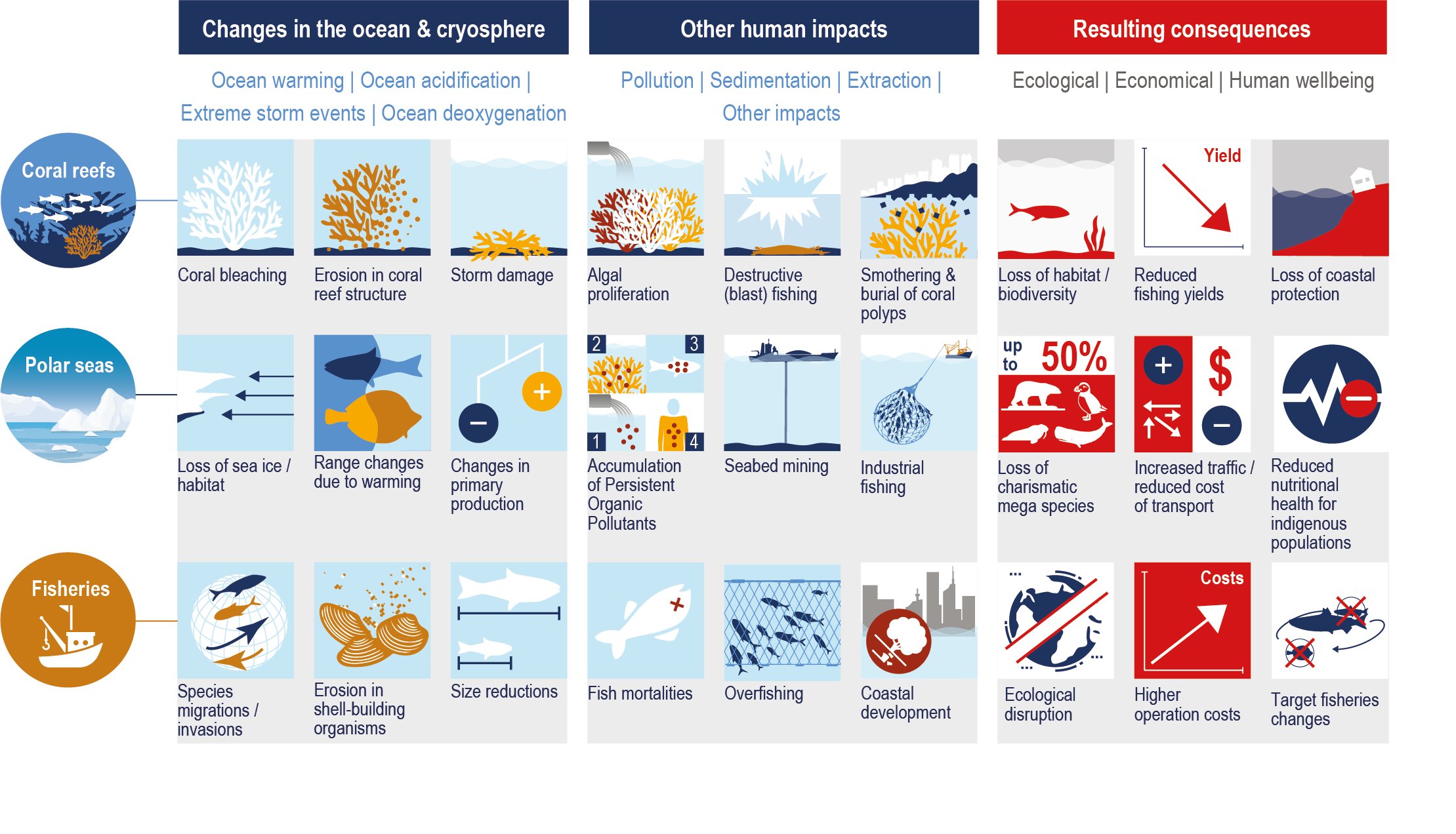 Chapter 5 Changing Ocean Marine Ecosystems And Dependent Communities Special Report On The Ocean And Cryosphere In A Changing Climate