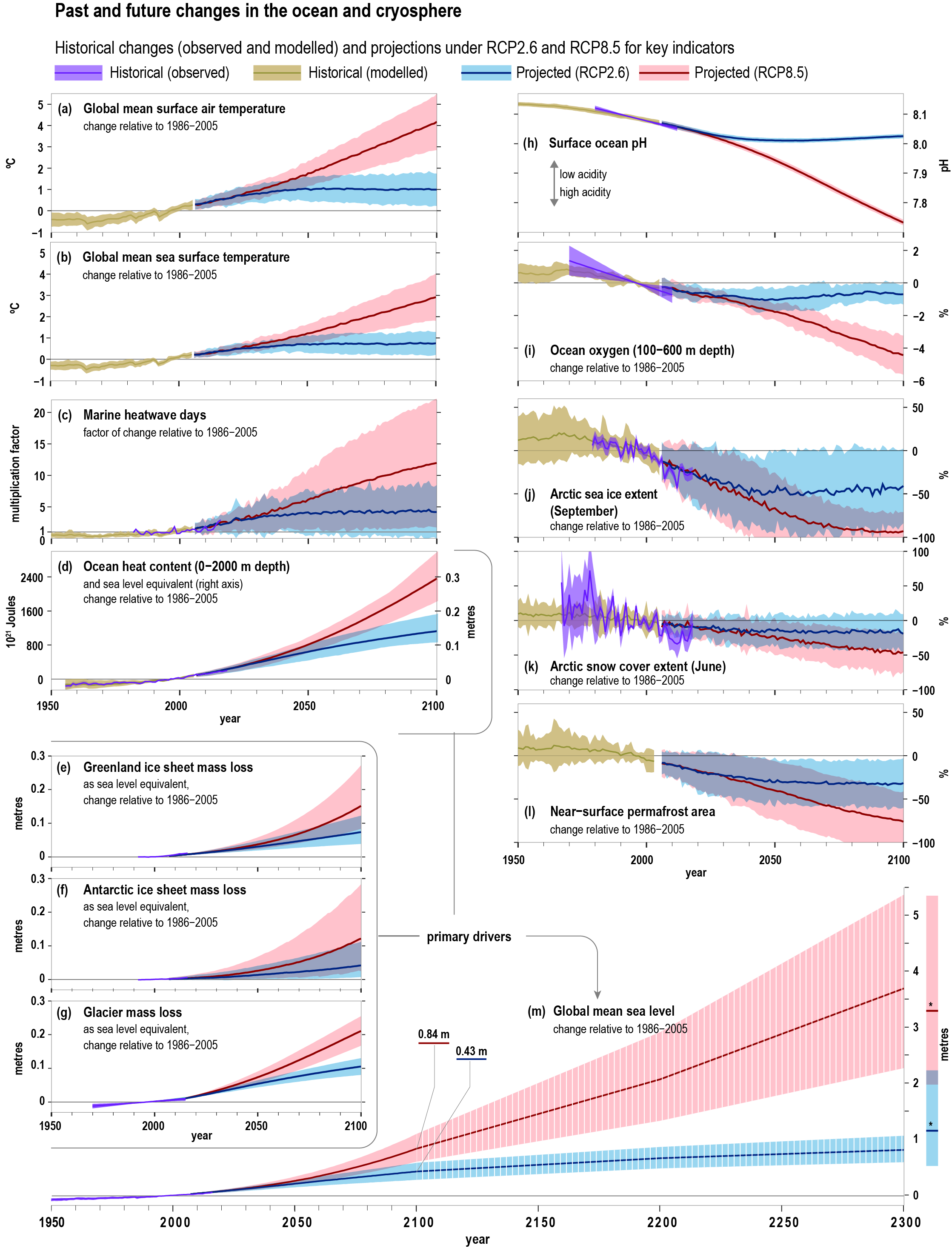 Océans connectés  Records des températures de surface des océans