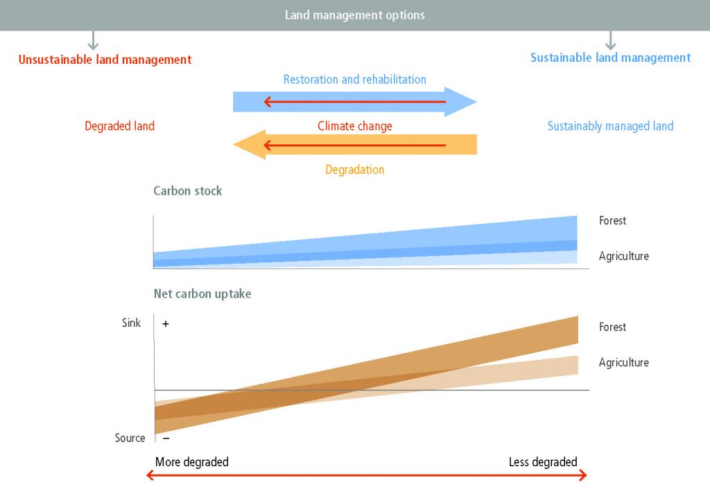 Chapter 4 : Land Degradation — Special Report on Climate Change