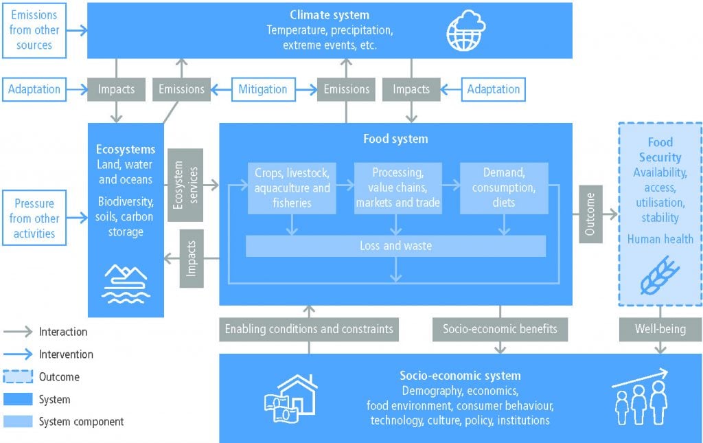 Chapter 5 Food Security Special Report On Climate Change And Land