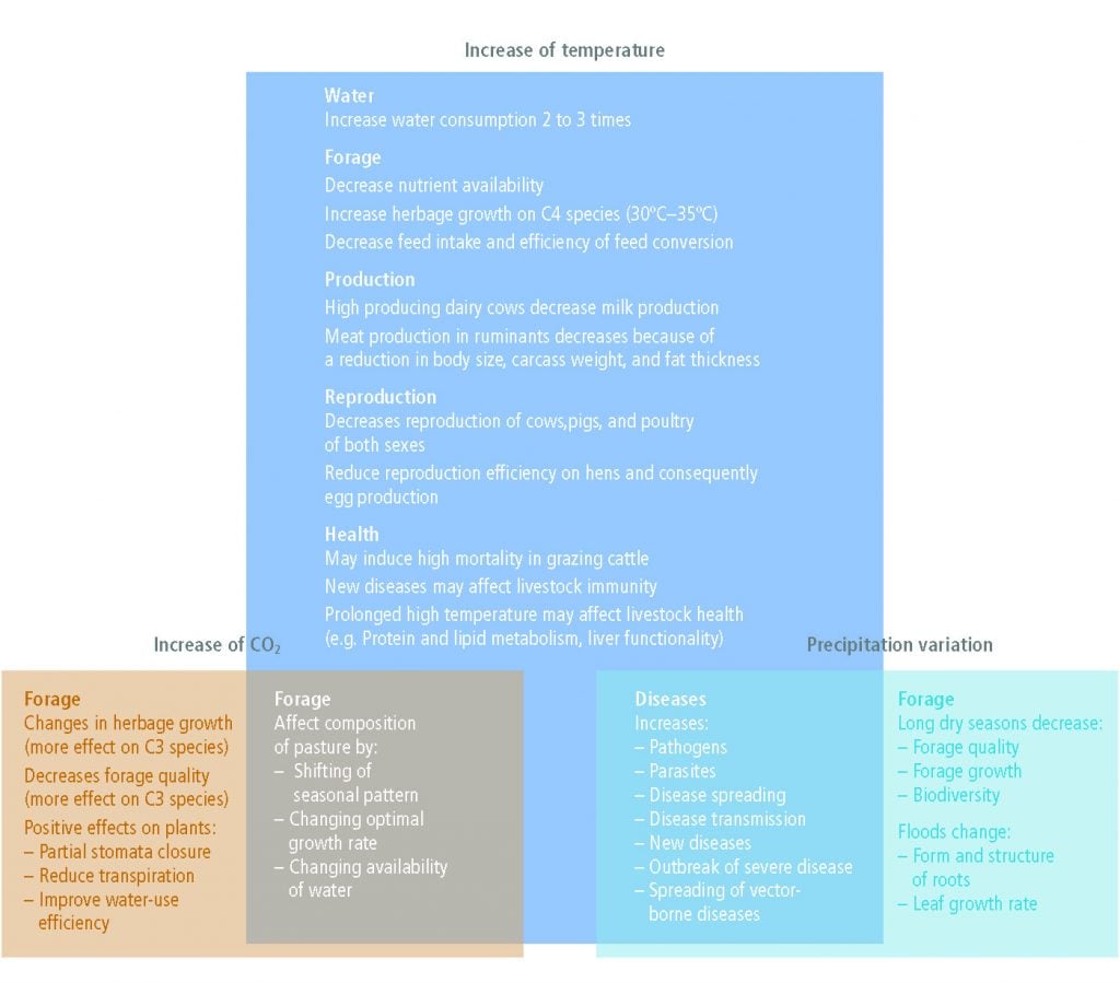 https://www.ipcc.ch/site/assets/uploads/sites/4/2019/11/Figure-5.5-1024x899.jpg