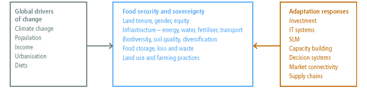 Lessons from farmers' adaptive practices to climate change in